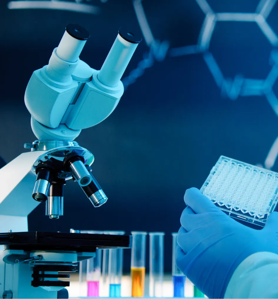 R&D Solution